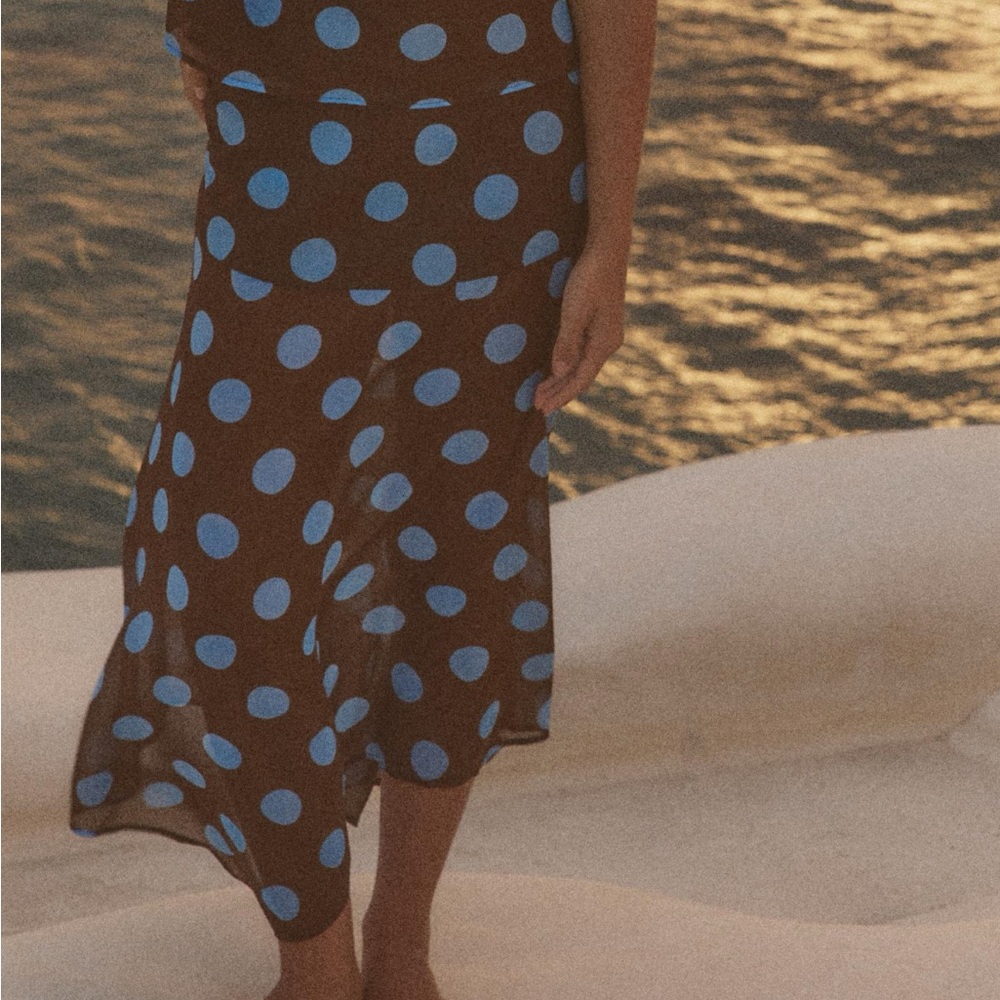 Brown and Blue Polka Dot Dress